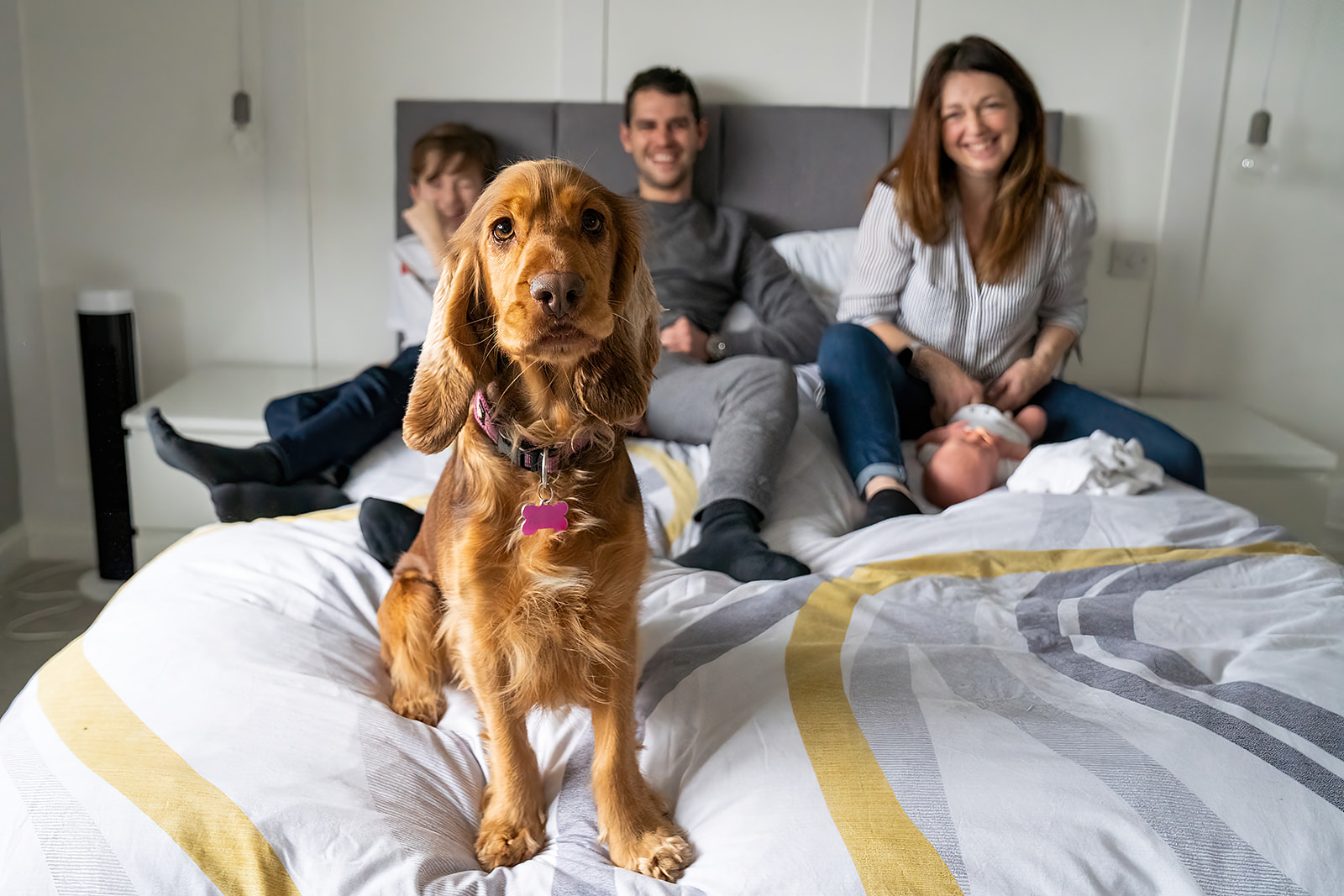 a dog sit on a double bed with her family behind, looking at her and laughing